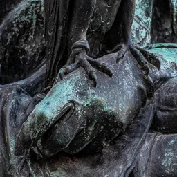 Close-up of the falconer's hand with the falcon's talons.