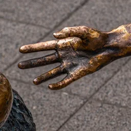 Close-up of the girl's hand reaching toward the dog.